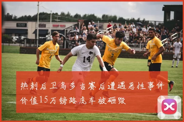 热刺后卫乌多吉赛后遭遇恶性事件价值15万镑路虎车被砸毁