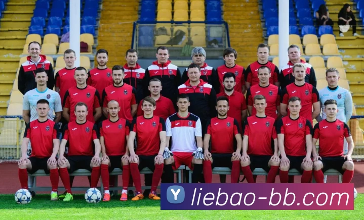 贝博体育平台生态图